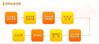 融資性擔(dān)保公司的業(yè)務(wù)流程與核心運作機(jī)制