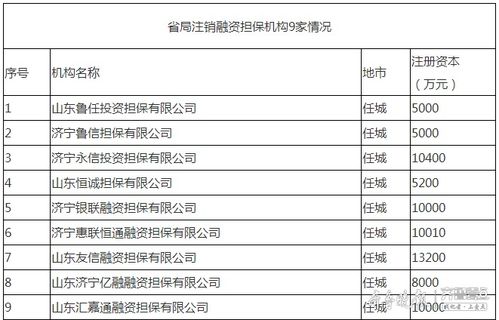 濟(jì)寧9家融資擔(dān)保機(jī)構(gòu)退出市場(chǎng)，行業(yè)規(guī)范再升級(jí)