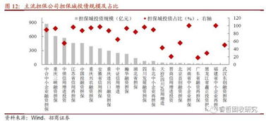 6號(hào)文紓民企出新招，堵城投斬?fù)?dān)保——融資性擔(dān)保機(jī)構(gòu)角色再思考