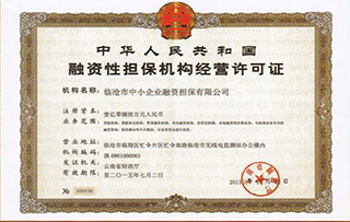 融資擔(dān)保公司業(yè)務(wù)范圍與融資性擔(dān)保解析