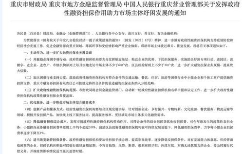 發(fā)揮政府性融資擔(dān)保作用 助力重慶市場(chǎng)主體紓困發(fā)展