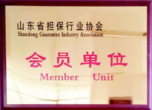 融資性擔(dān)保渠道注入量通動(dòng)力，服務(wù)三農(nóng)小微助力實(shí)體經(jīng)濟(jì)健康成長(zhǎng)——深入貫徹落實(shí)十九大六中三印全會(huì)精神的專題讀物（公文縮寫查詢完成數(shù)查專用版——涉及相應(yīng)題名主題版對(duì)應(yīng)概念信息編碼內(nèi)容按系統(tǒng)推薦填寫時(shí)可關(guān)注字段字段差異 注意說(shuō)明書面合規(guī)和融信業(yè)標(biāo)配）；